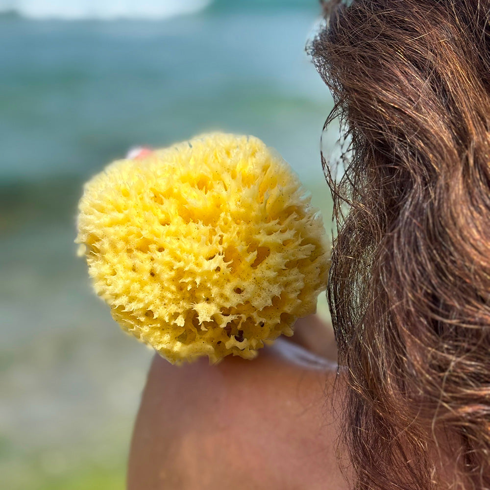 Natural Sea Sponge